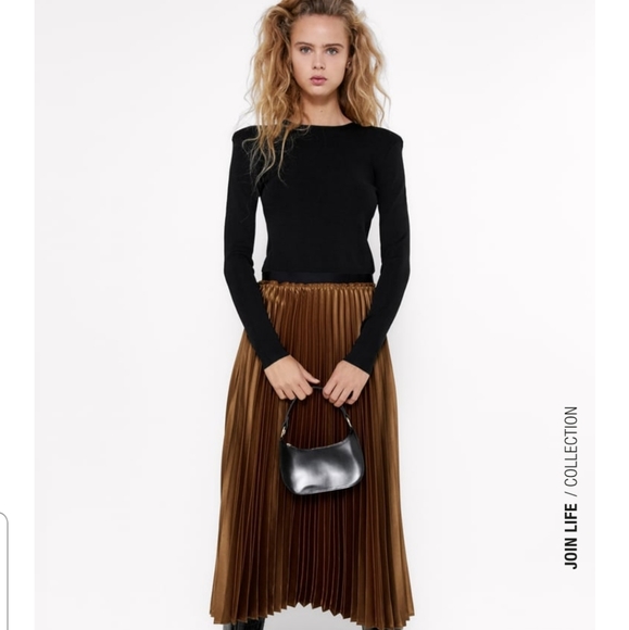 ZARA Pleated Skirt - Picture 3 of 4